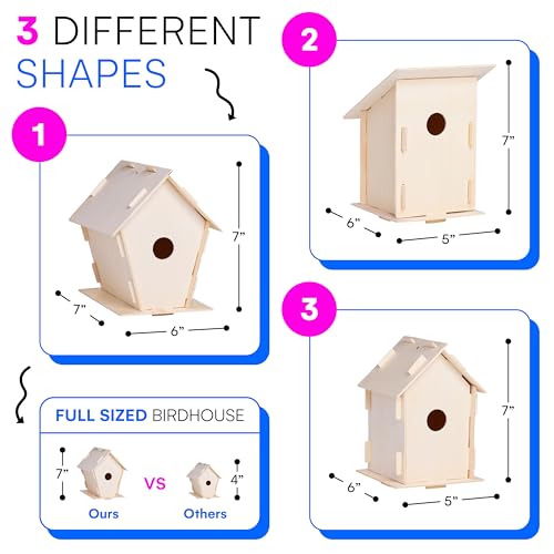 DIY Wooden Birdhouse Kit for Kids and Adults