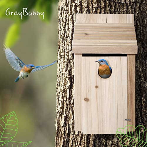 Handcrafted Cedar Wood Bird House - Predator-Proof Design