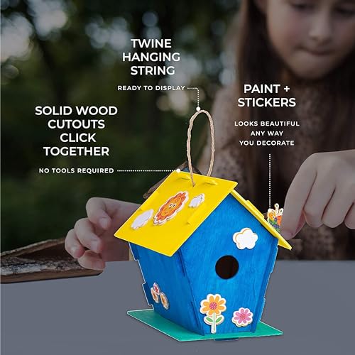 DIY Wooden Birdhouse Kit for Kids and Adults
