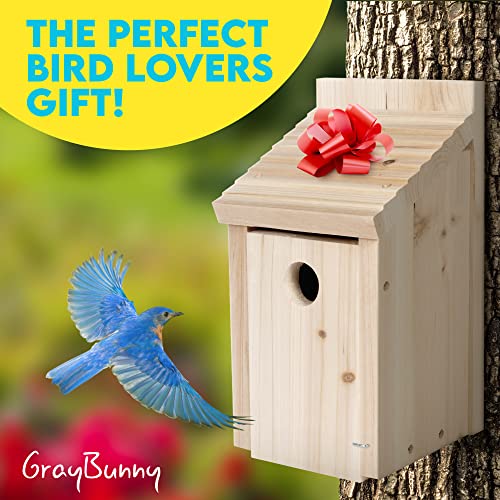 Handcrafted Cedar Wood Bird House - Predator-Proof Design