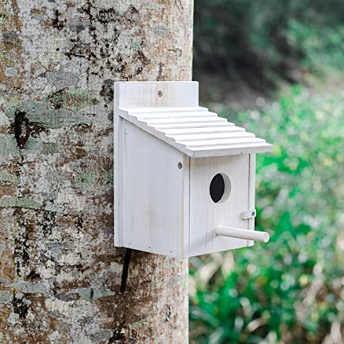 Wooden Hanging Birdhouse for Finch, Bluebird, Cardinals - Outdoor