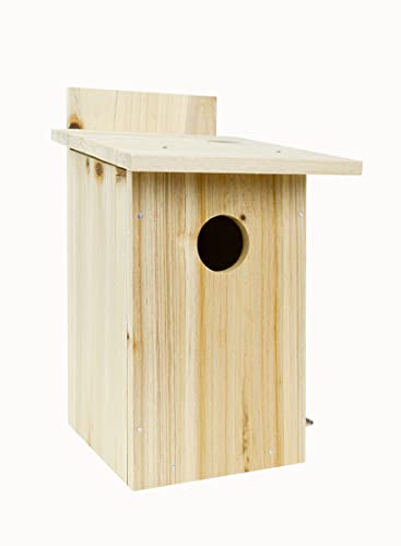 DIY Nature's Way Bird Viewing Garden House