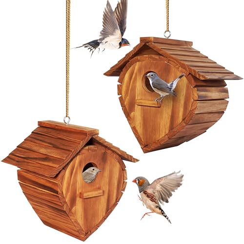 Strawberry Shape Outdoor Bird House Set (2 Pack)
