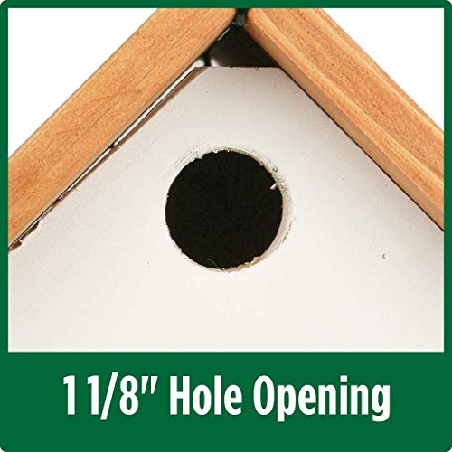 Farmhouse Wren House in White by Wild Wings