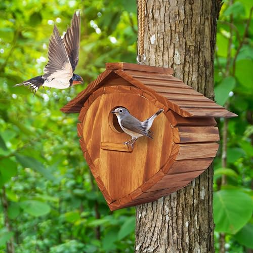 Strawberry Shape Outdoor Bird House Set (2 Pack)
