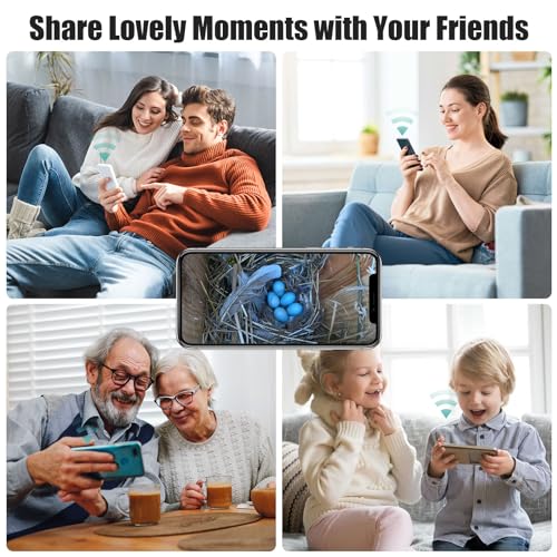 Smart Birdhouse with 4MP Camera - Night Vision, Motion Detection