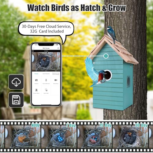 Smart Birdhouse with 4MP Camera - Night Vision, Motion Detection