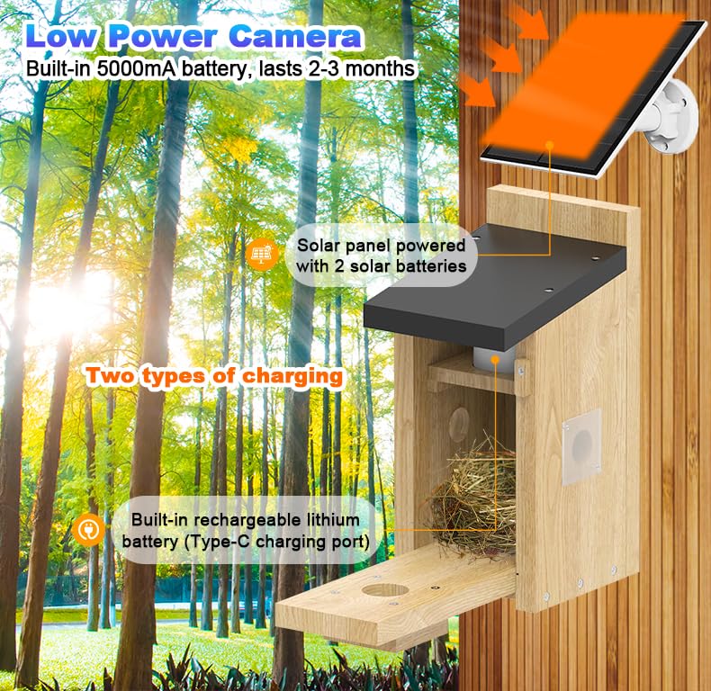 4MP HD Bird House with WiFi Camera & App