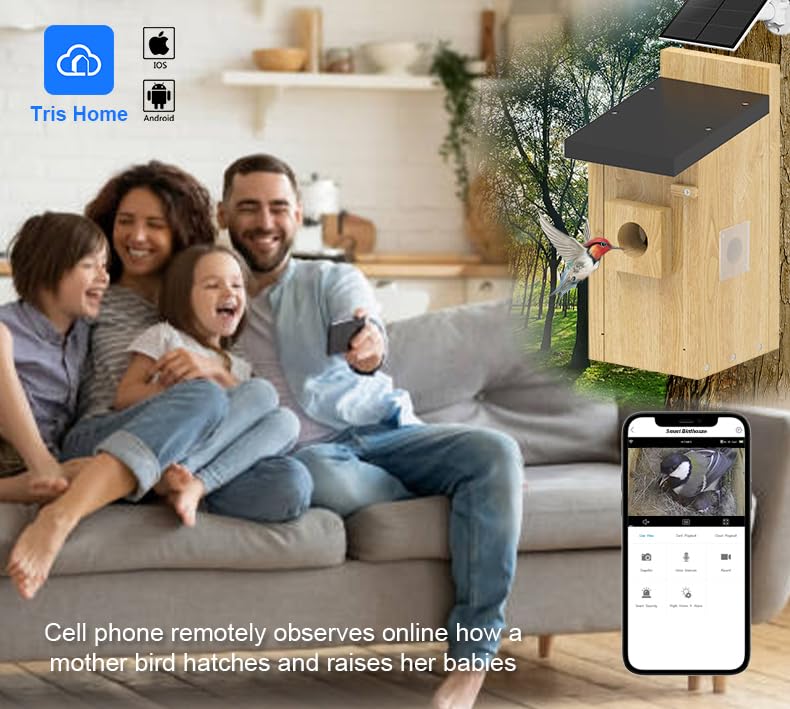4MP HD Bird House with WiFi Camera & App