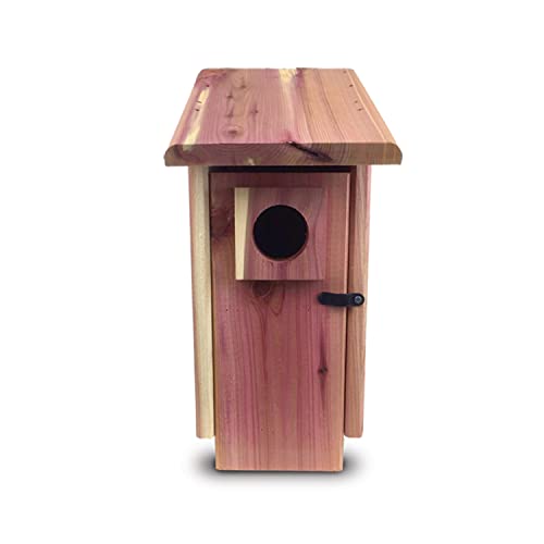 Cedar Bird House with Predator Guard for Adults & Babies