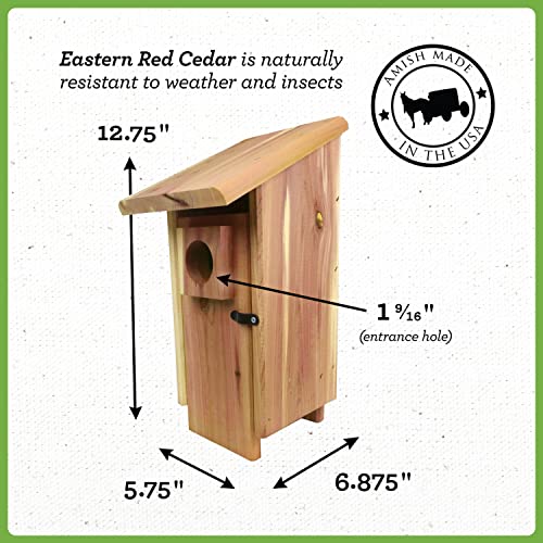 Cedar Bird House with Predator Guard for Adults & Babies