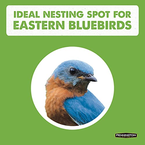 Cedar Bird House with Predator Guard for Adults & Babies