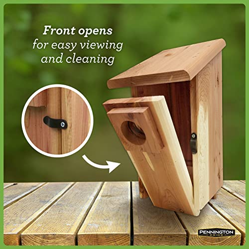 Cedar Bird House with Predator Guard for Adults & Babies