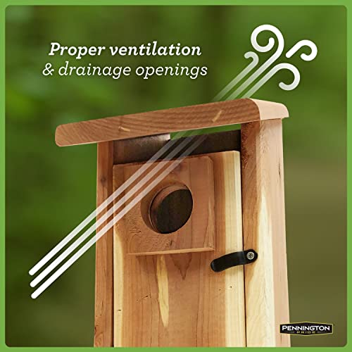 Cedar Bird House with Predator Guard for Adults & Babies