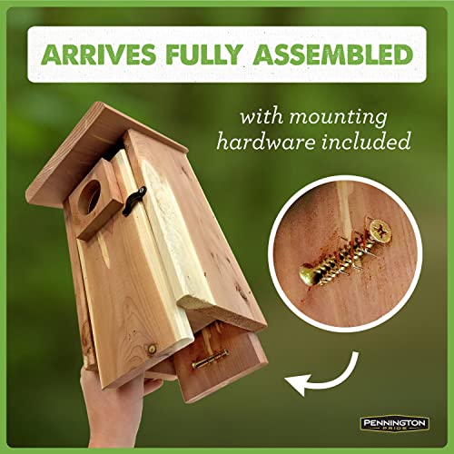 Cedar Bird House with Predator Guard for Adults & Babies