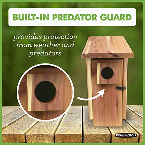 Cedar Bird House with Predator Guard for Adults & Babies