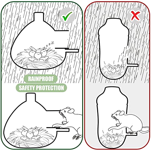 2 Pack Hummingbird & Chickadee Houses, Hanging Indoor/Outdoor