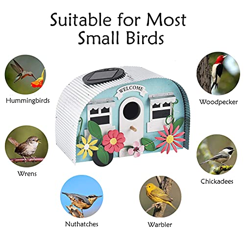 Handcrafted Hanging Hummingbird Birdhouse with Solar String Lights