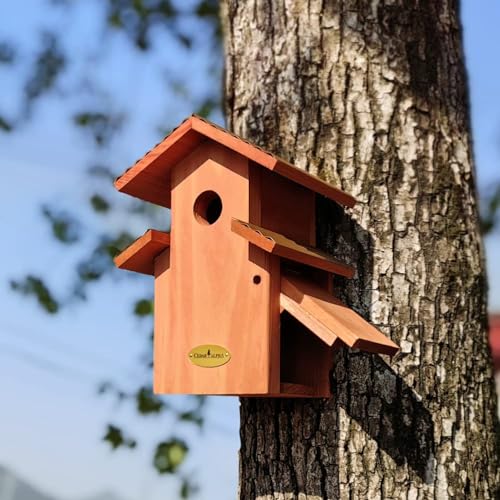 Rustic Bluebird Cedar Birdhouse with Metal Roof, Vintage Style
