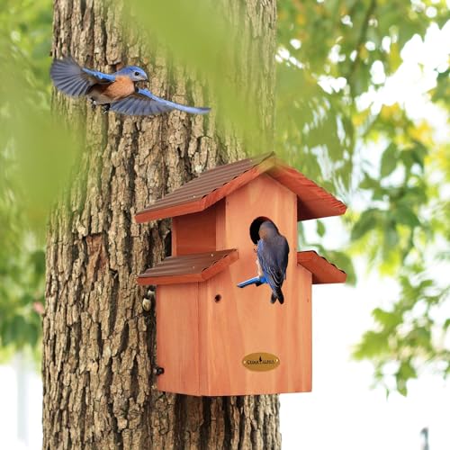 Rustic Bluebird Cedar Birdhouse with Metal Roof, Vintage Style