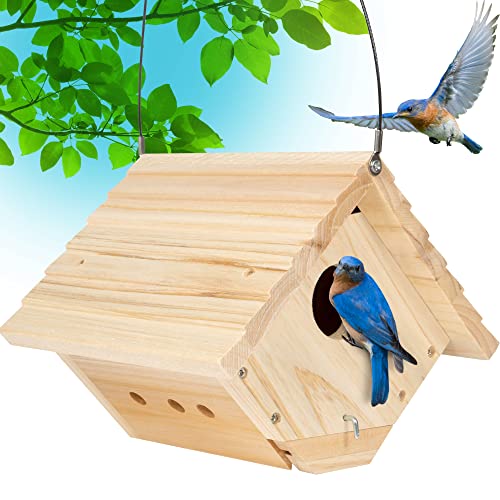 Cedar Bluebird and Wren Birdhouses - Perfect Outdoor Decor