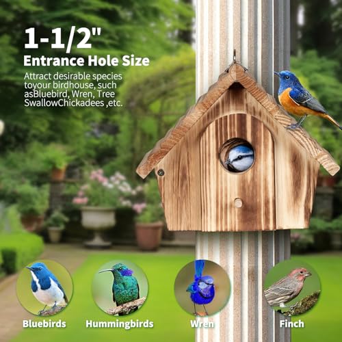 Wooden Hanging Bird Houses for Outdoor Garden Decor