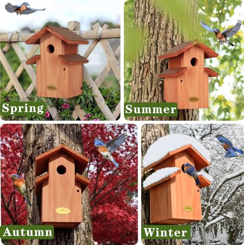 Rustic Bluebird Cedar Birdhouse with Metal Roof, Vintage Style