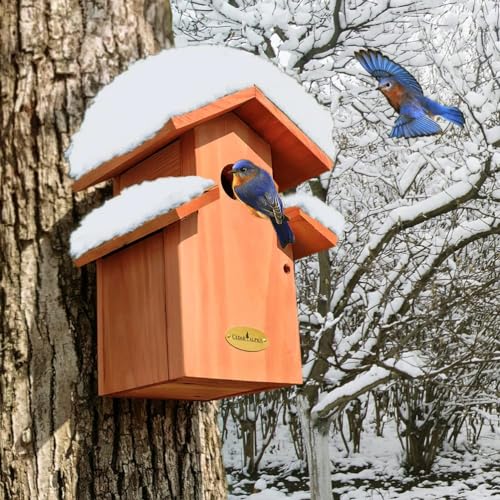 Rustic Bluebird Cedar Birdhouse with Metal Roof, Vintage Style