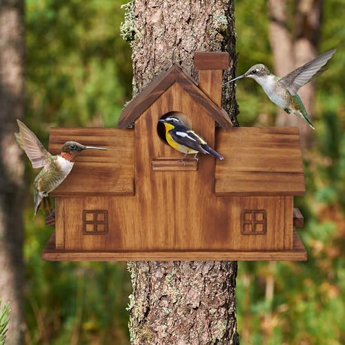 Bluebird Finch Cardinals Hanging Birdhouse for Garden (Style 3)
