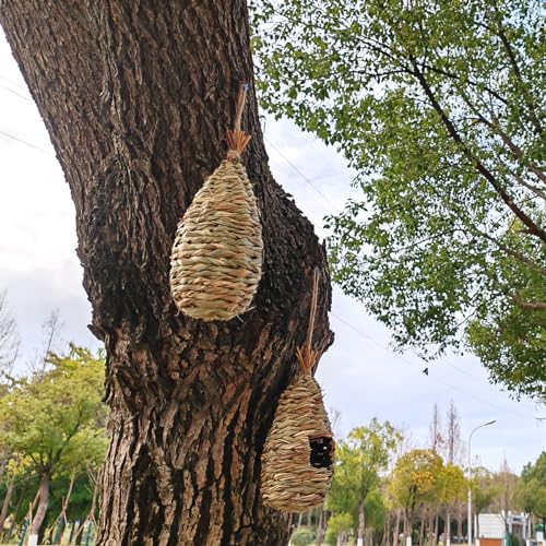 Hand-Woven Hummingbird House Set for Indoor & Outdoor