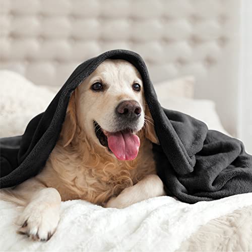 Luxury Plush Black Fleece Throw Blanket for Home