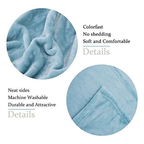 NANPIPER Super Soft Fleece Queen Size Blanket, Light Blue