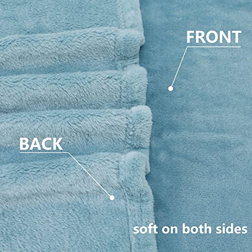NANPIPER Super Soft Fleece Queen Size Blanket, Light Blue