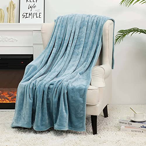 NANPIPER Super Soft Fleece Queen Size Blanket, Light Blue