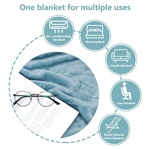 NANPIPER Super Soft Fleece Queen Size Blanket, Light Blue