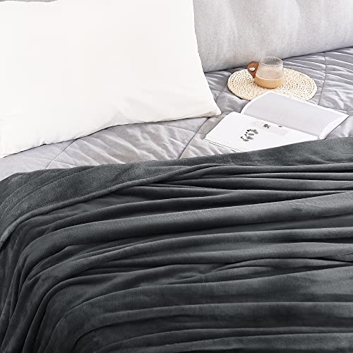 Soft Grey Fleece Throw Blanket for Couch, 50x60