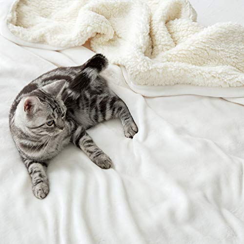 Ivory Sherpa Fleece Queen Size Bed Blanket
