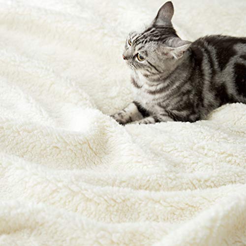 Ivory Sherpa Fleece Queen Size Bed Blanket