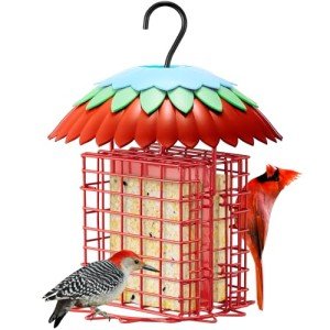 Skaithee Metal Bird Feeder with Double Holders, Weatherproof