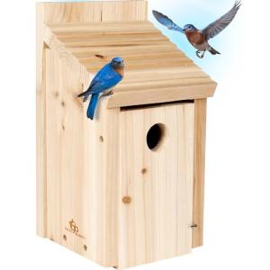 Handcrafted Cedar Wood Bird House - Predator-Proof Design