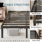 Viisari Queen Bed Frame: 14 Inch Metal Platform