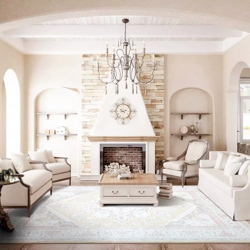 Soft Vintage Area Rug 8x10 for Living Room