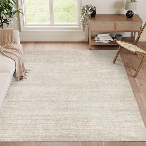 Valenrug 5x7 Washable Rug - Stain Resistant Area Rug