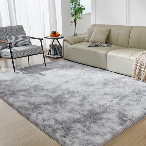 4X6 Fluffy Shag Area Rugs for Home Decor