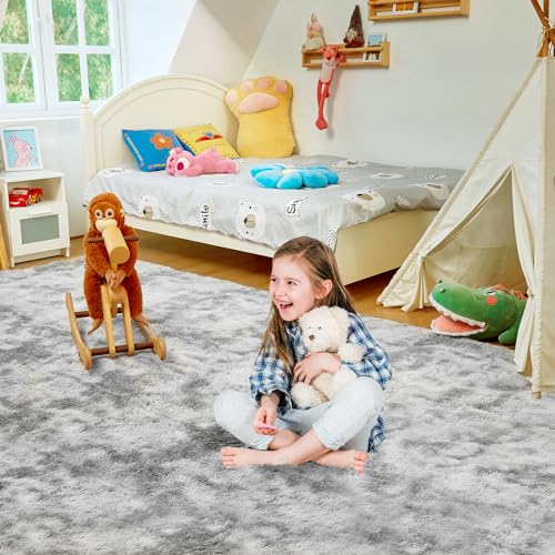 4X6 Fluffy Shag Area Rugs for Home Decor