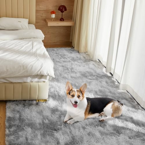 4X6 Fluffy Shag Area Rugs for Home Decor