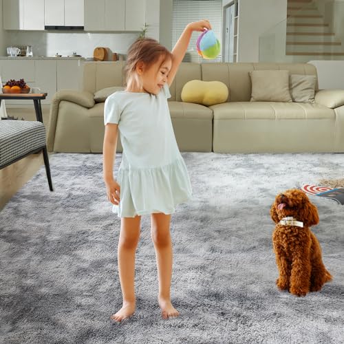 4X6 Fluffy Shag Area Rugs for Home Decor