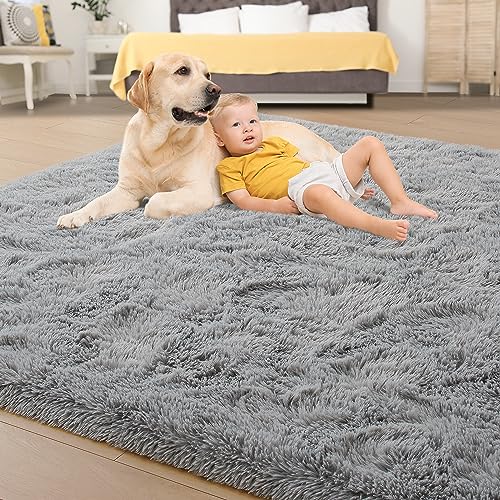 Super Soft Fluffy Rug for Bedroom & Living Room