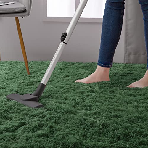 Super Soft Shaggy Fluffy Area Rug, 4x6 ft