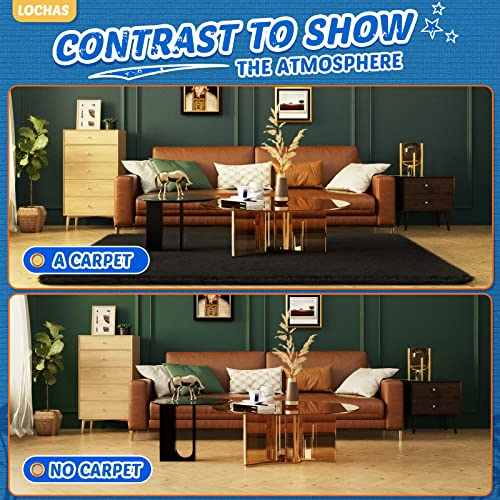 LOCHAS Ultra Soft Modern Area Rug, 2x3 Black